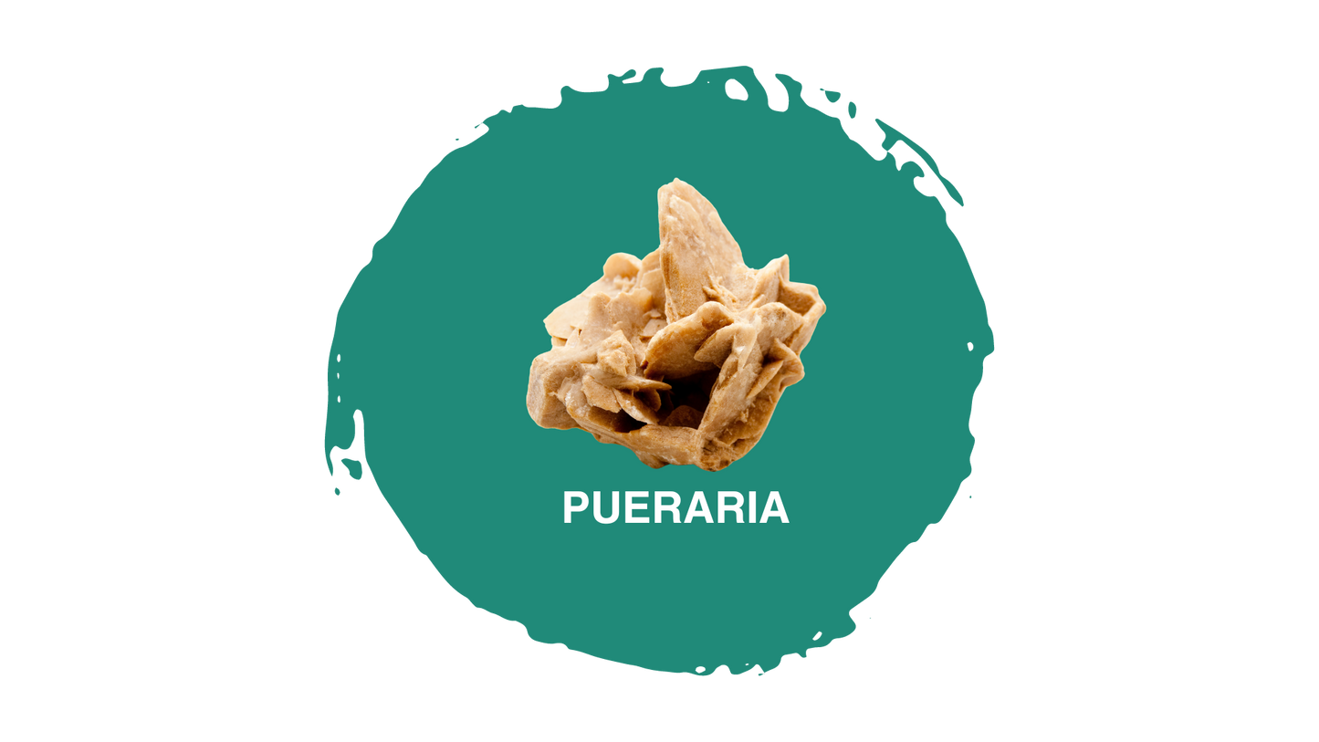 Pasulin Capelli - Integratore Naturale