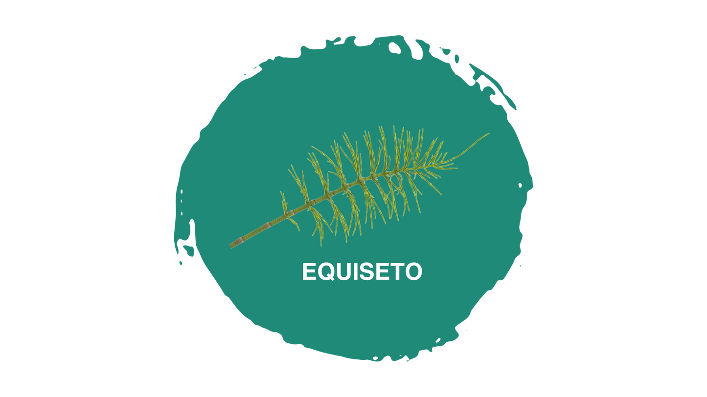 Pasulin Capelli - Integratore Naturale