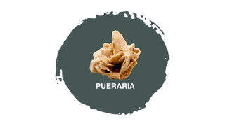 Pasulin KIT Doppia Azione Plus - Pacchetto Anticaduta 3 mesi