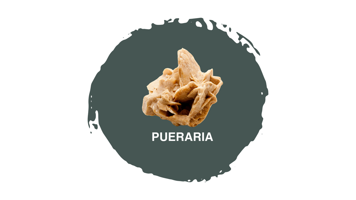 Pasulin Plus - Integratore Naturale