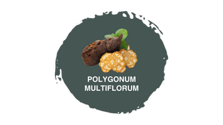 Pasulin KIT Doppia Azione Plus - Pacchetto Anticaduta 3 mesi
