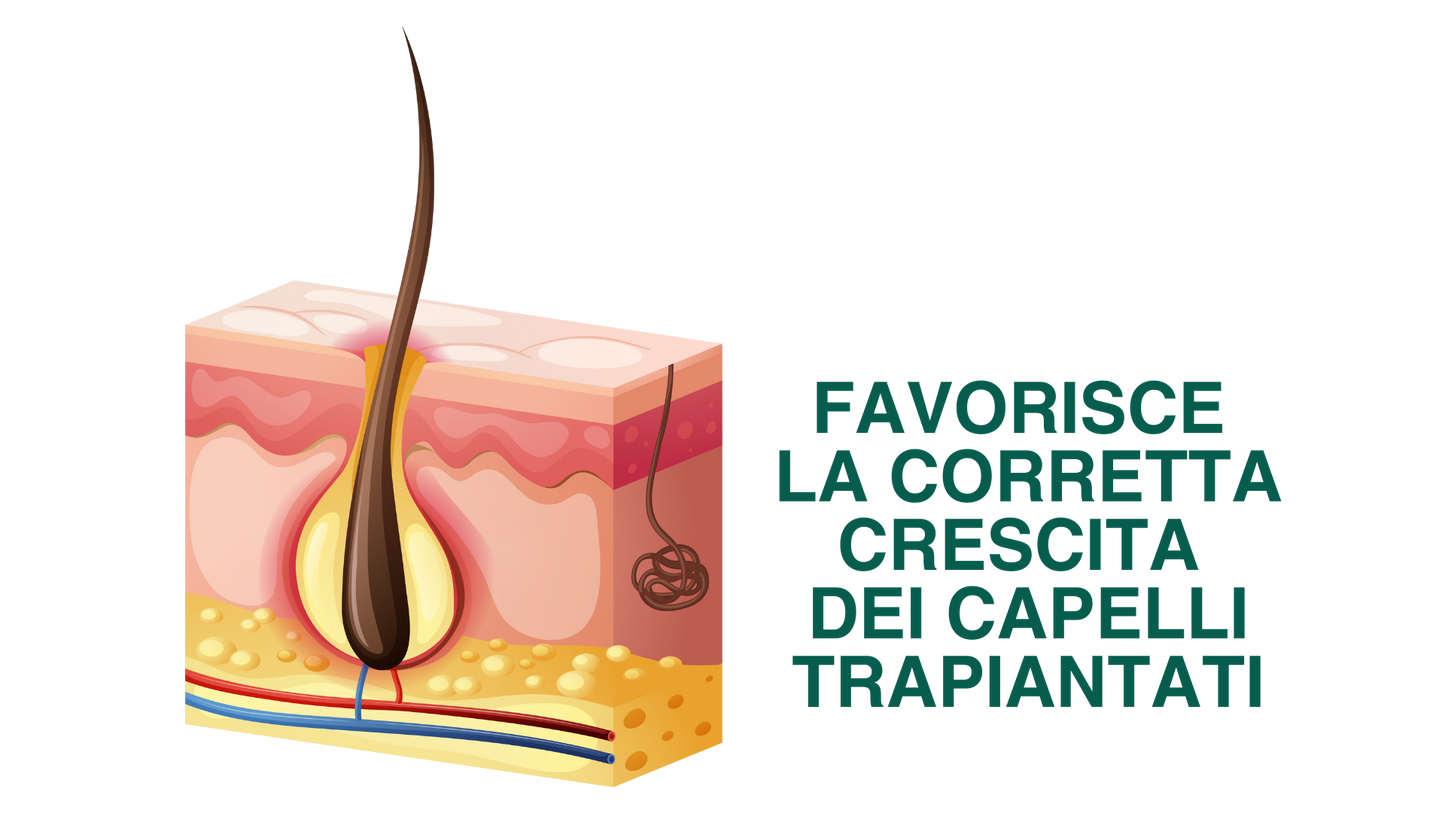 Pasulin KIT - POST TRAPIANTO CAPELLI