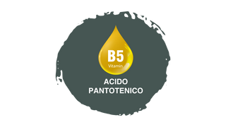 Pasulin KIT Doppia Azione Plus - Pacchetto Anticaduta 3 mesi