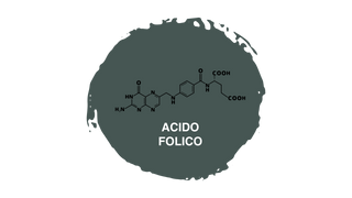 Pasulin KIT Doppia Azione Plus - Pacchetto Anticaduta 3 mesi