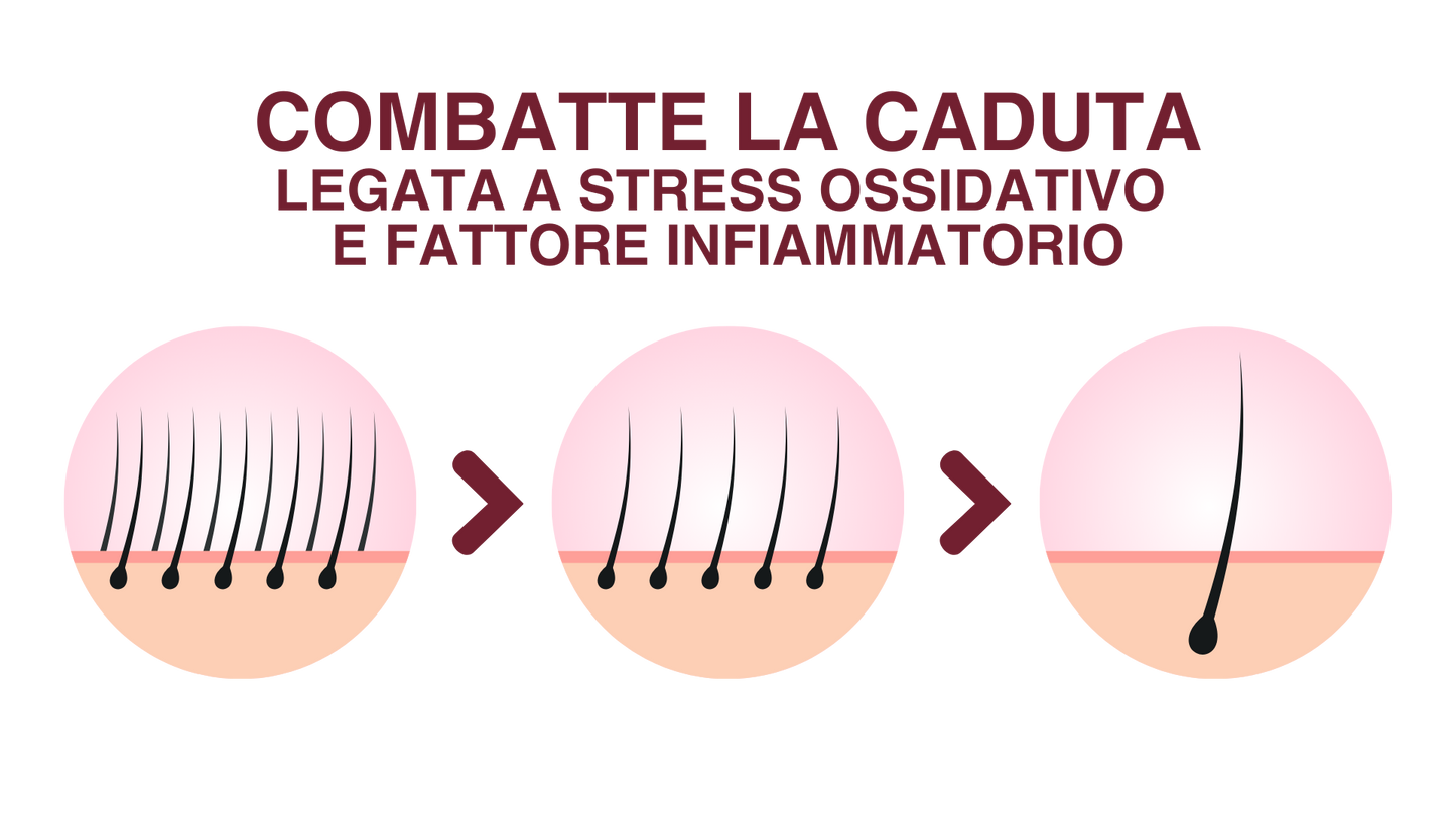 Pasulin Antiox - Integratore per Capelli