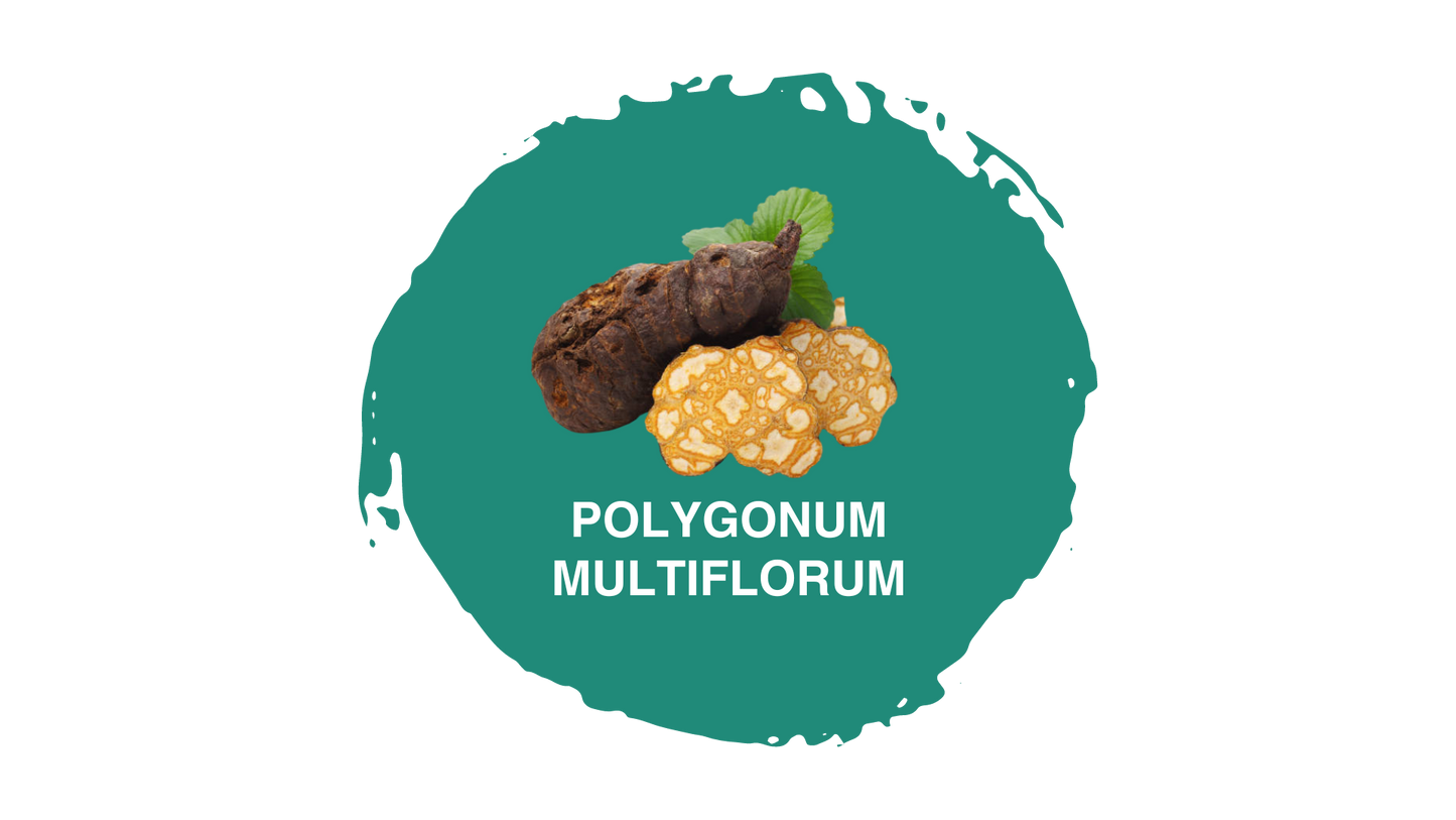 Pasulin Capelli - Integratore Naturale