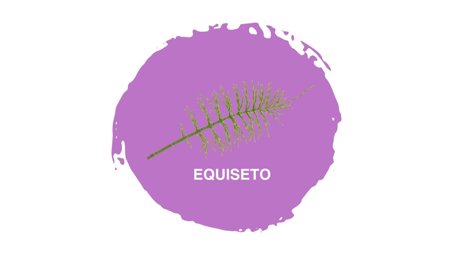 Pasulin Ladies - Integratore per Capelli Donna