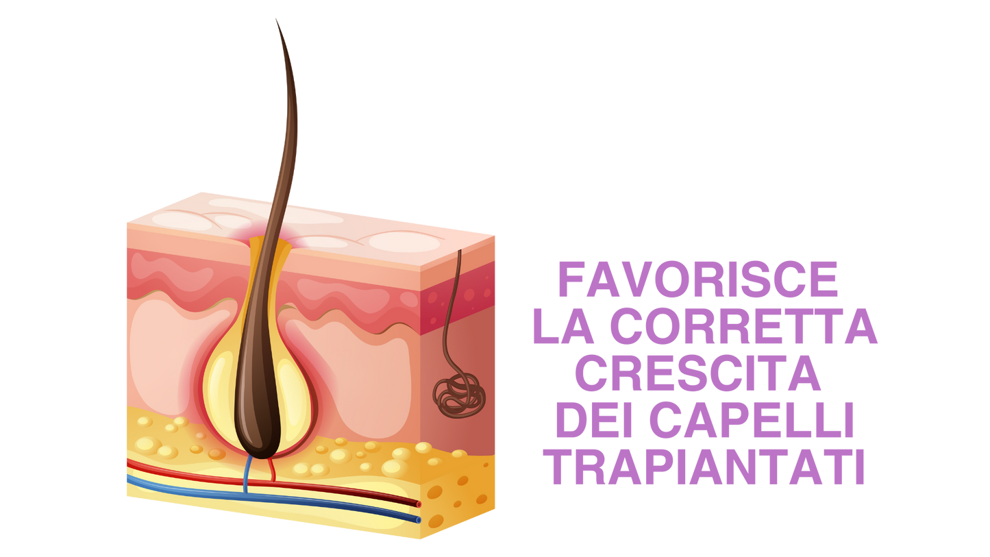 Pasulin KIT LADIES - POST TRAPIANTO CAPELLI