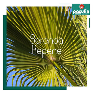 La serenoa repens fa ricrescere i capelli