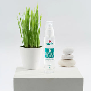 Cristalli liquidi ai semi di lino per capelli lucenti Pasulin